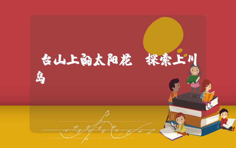 台山上的太阳花：探索上川岛