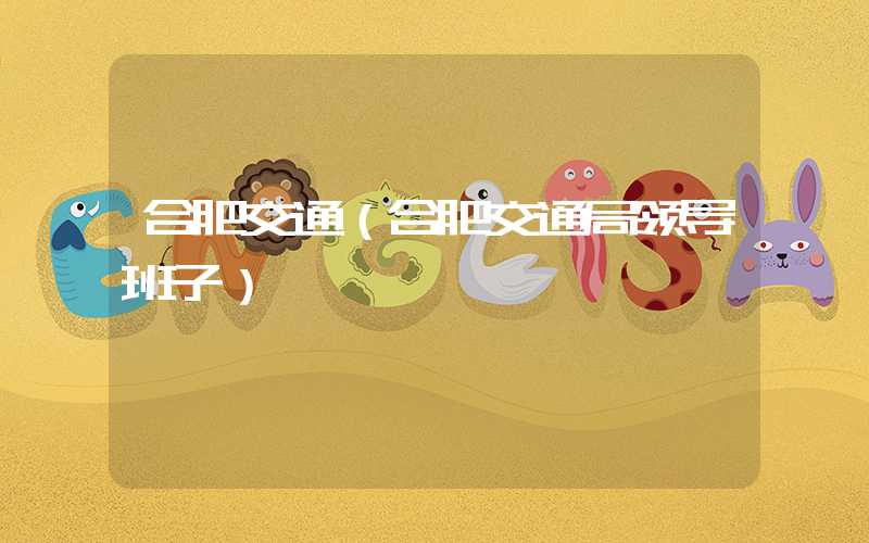 合肥交通（合肥交通局领导班子）