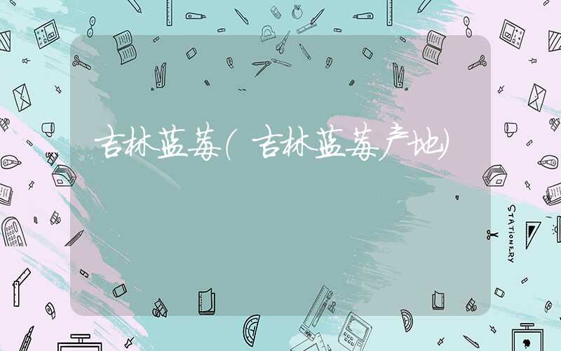 吉林蓝莓（吉林蓝莓产地）
