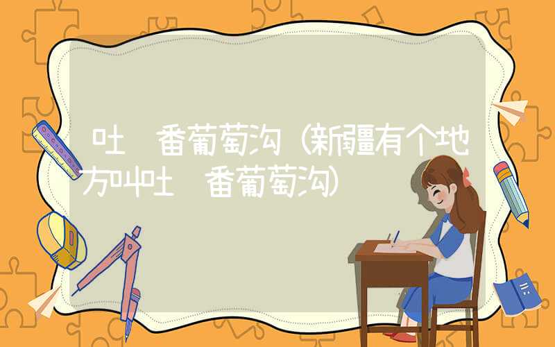 吐鲁番葡萄沟（新疆有个地方叫吐鲁番葡萄沟）