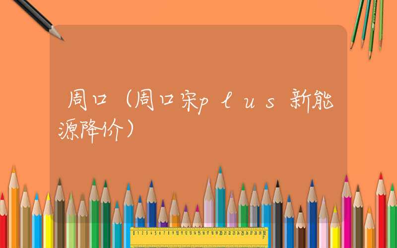 周口（周口宋plus新能源降价）