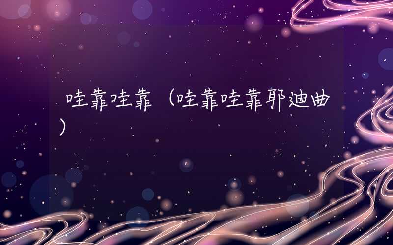 哇靠哇靠（哇靠哇靠耶迪曲）