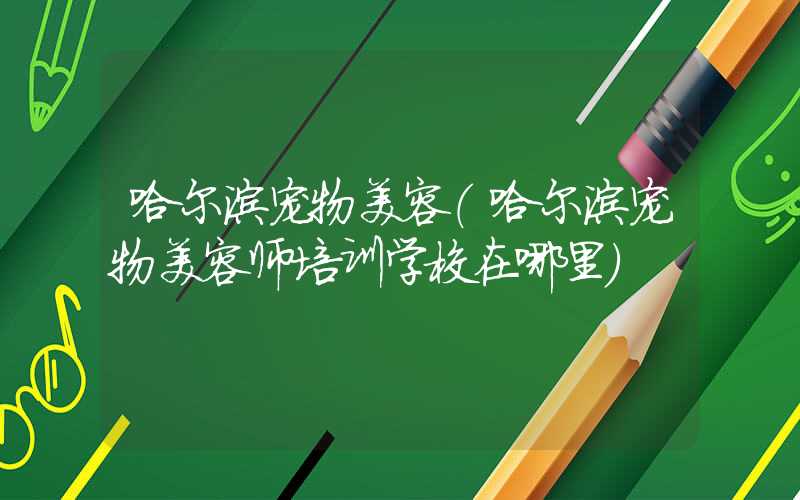 哈尔滨宠物美容（哈尔滨宠物美容师培训学校在哪里）
