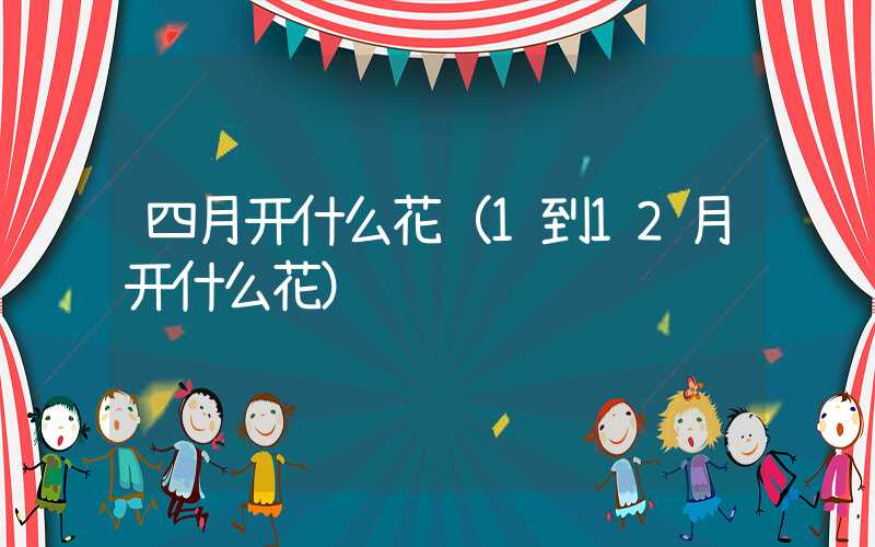 四月开什么花（1到12月开什么花）