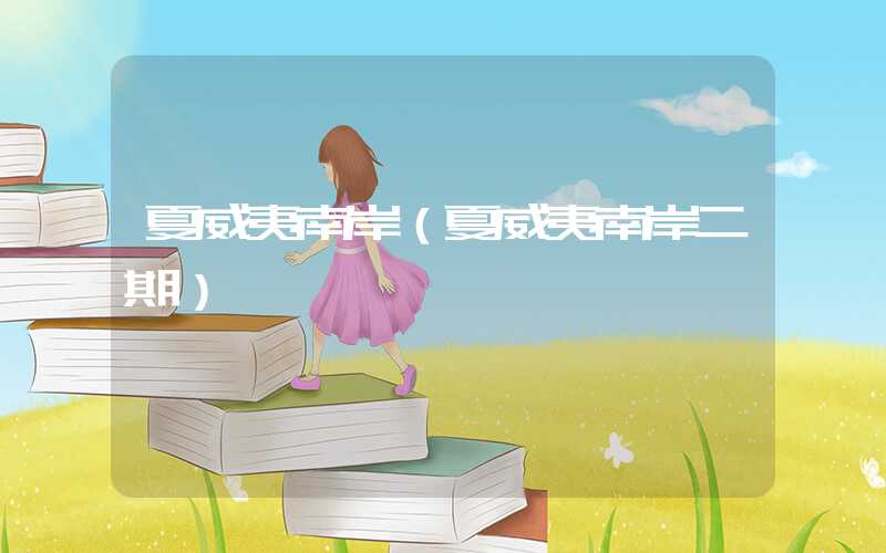 夏威夷南岸(夏威夷南岸二期)