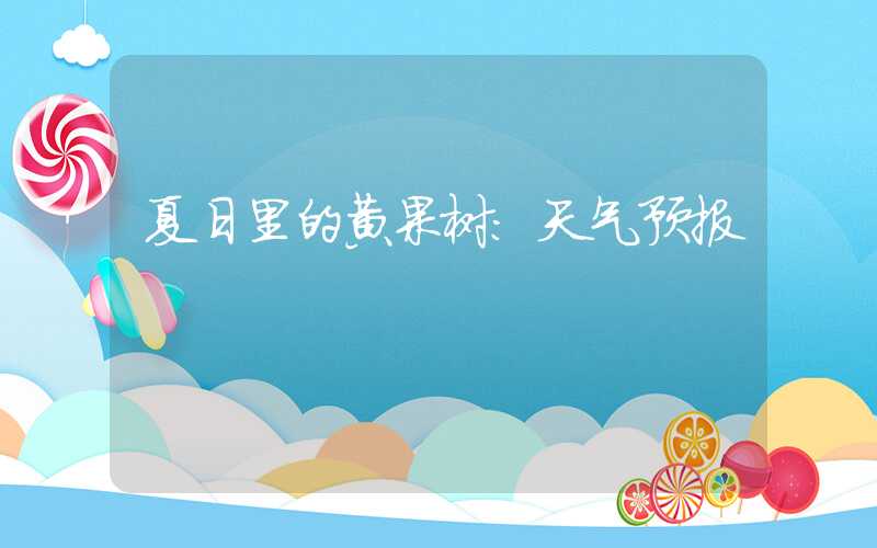 夏日里的黄果树：天气预报