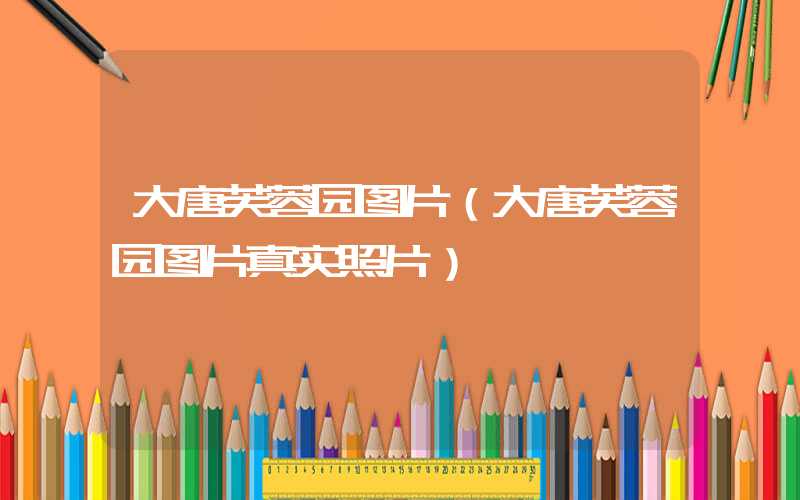 大唐芙蓉园图片（大唐芙蓉园图片真实照片）