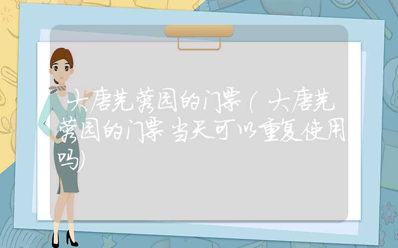大唐芙蓉园的门票（大唐芙蓉园的门票当天可以重复使用吗）