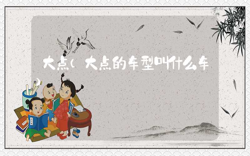 大点（大点的车型叫什么车）