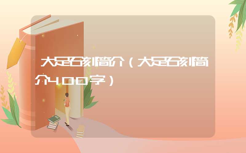大足石刻简介（大足石刻简介400字）