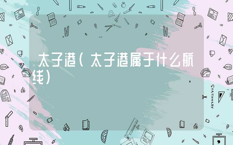 太子港(太子港属于什么航线)