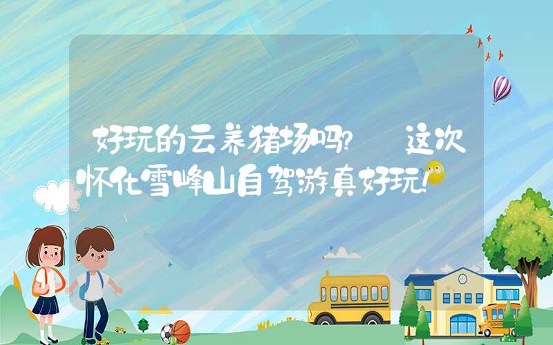 好玩的云养猪场吗？ 这次怀化雪峰山自驾游真好玩！