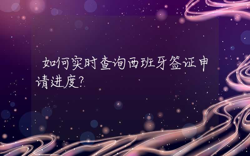 如何实时查询西班牙签证申请进度？