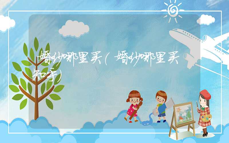 婚纱哪里买（婚纱哪里买 知乎）