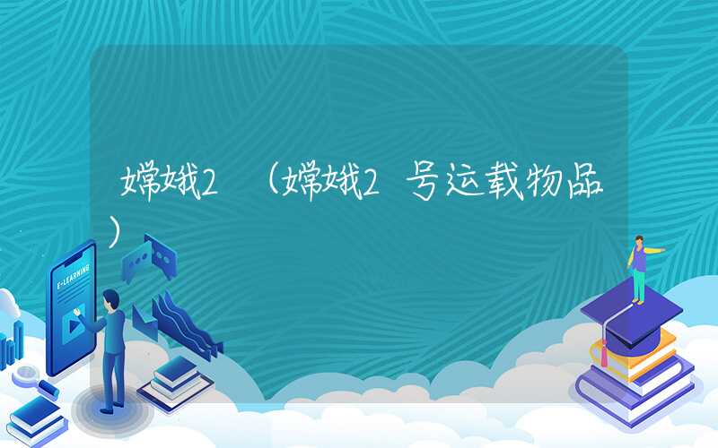 嫦娥2（嫦娥2号运载物品）