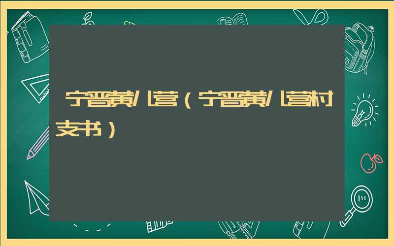宁晋黄儿营（宁晋黄儿营村支书）