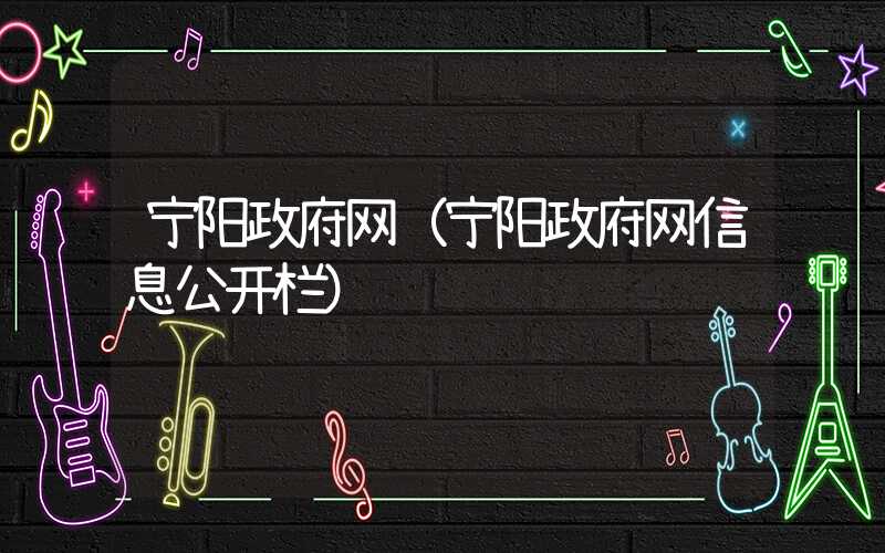 宁阳政府网（宁阳政府网信息公开栏）