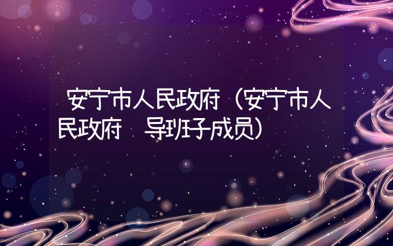 安宁市人民政府（安宁市人民政府领导班子成员）