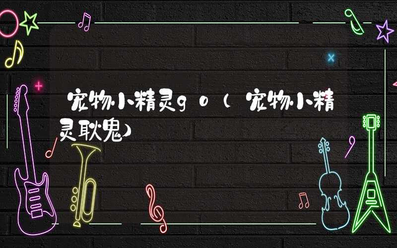 宠物小精灵go（宠物小精灵耿鬼）