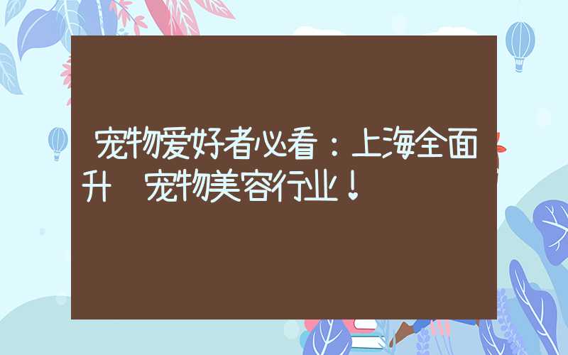 宠物爱好者必看：上海全面升级宠物美容行业！