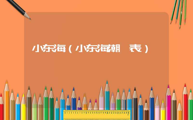 小东海（小东海潮汐表）