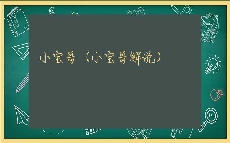 小宝哥(小宝哥解说)