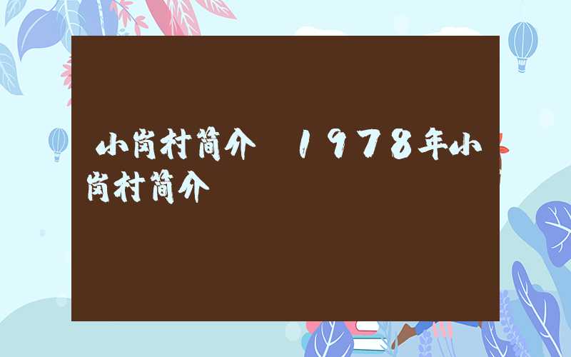 小岗村简介(1978年小岗村简介)