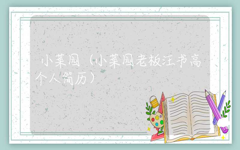小菜园（小菜园老板汪书高个人简历）