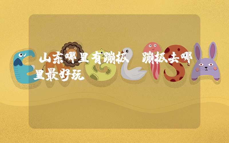 山东哪里有蹦极（蹦极去哪里最好玩）