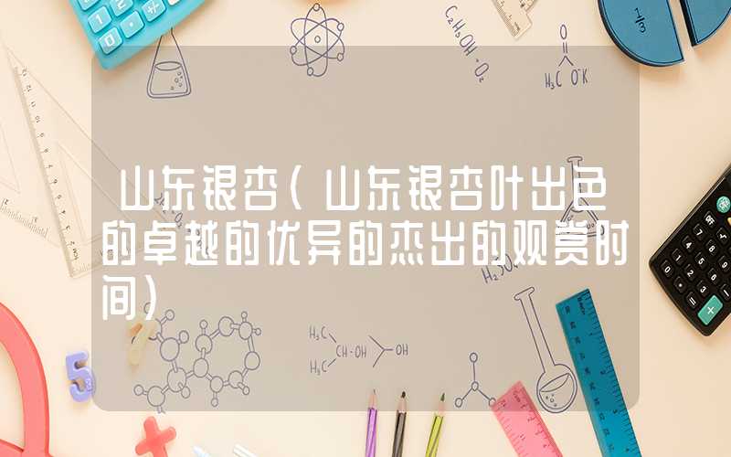 山东银杏（山东银杏叶出色的卓越的优异的杰出的观赏时间）