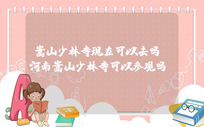 嵩山少林寺现在可以去吗（河南嵩山少林寺可以参观吗）