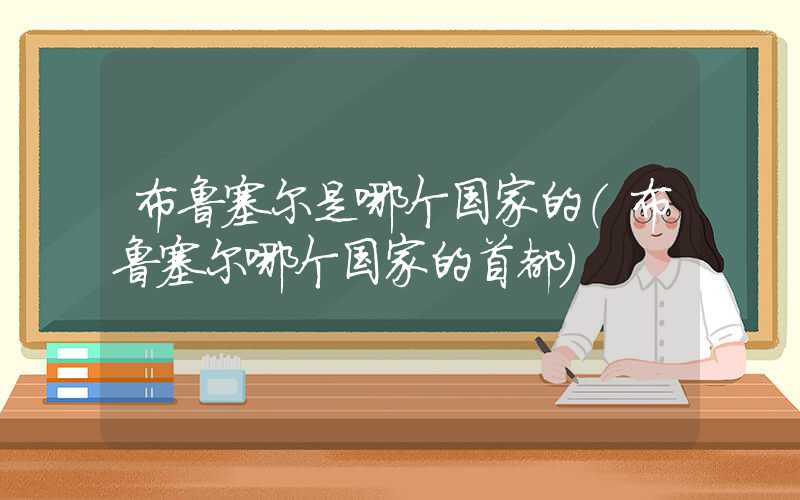 布鲁塞尔是哪个国家的（布鲁塞尔哪个国家的首都）
