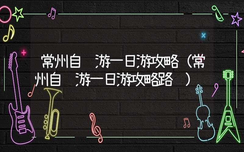 常州自驾游一日游攻略（常州自驾游一日游攻略路线）