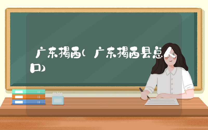 广东揭西（广东揭西县总人口）