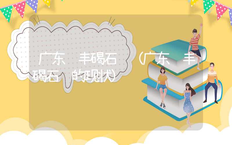 广东陆丰碣石镇（广东陆丰碣石镇的现状）