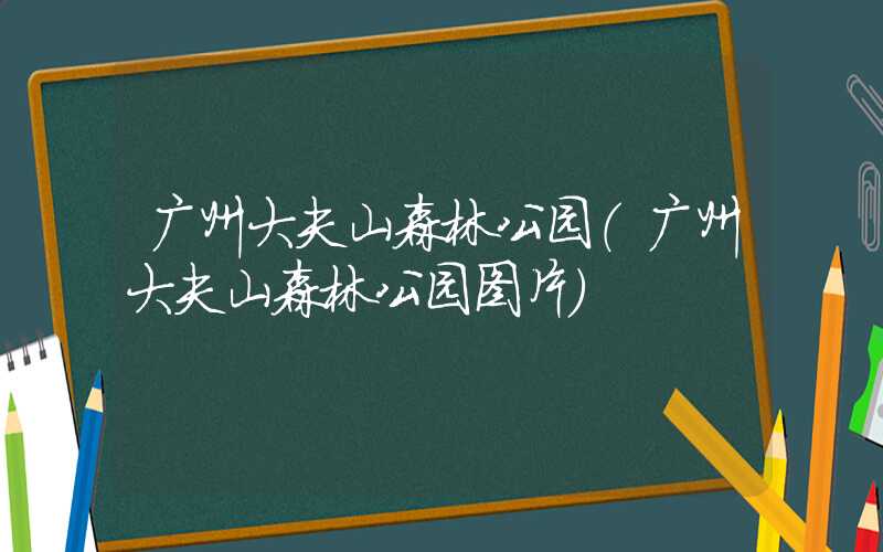 广州大夫山森林公园（广州大夫山森林公园图片）
