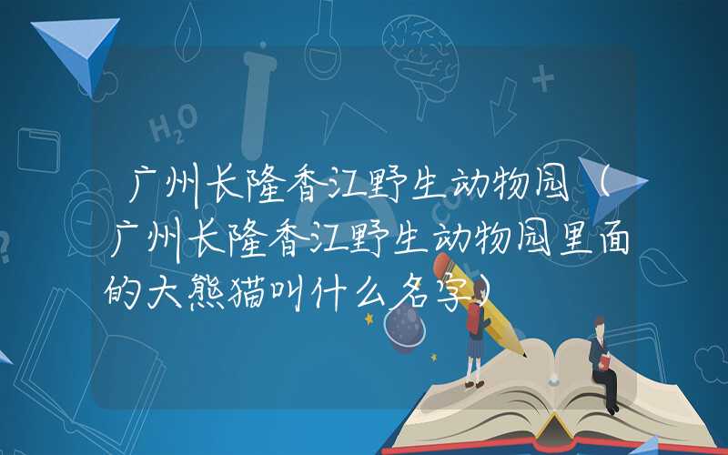 广州长隆香江野生动物园(广州长隆香江野生动物园里面的大熊猫叫什么名字)