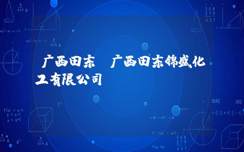 广西田东（广西田东锦盛化工有限公司）