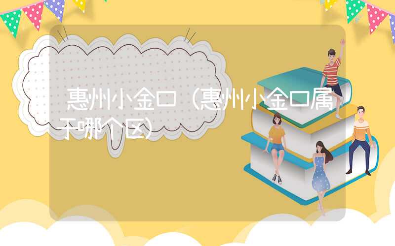 惠州小金口（惠州小金口属于哪个区）