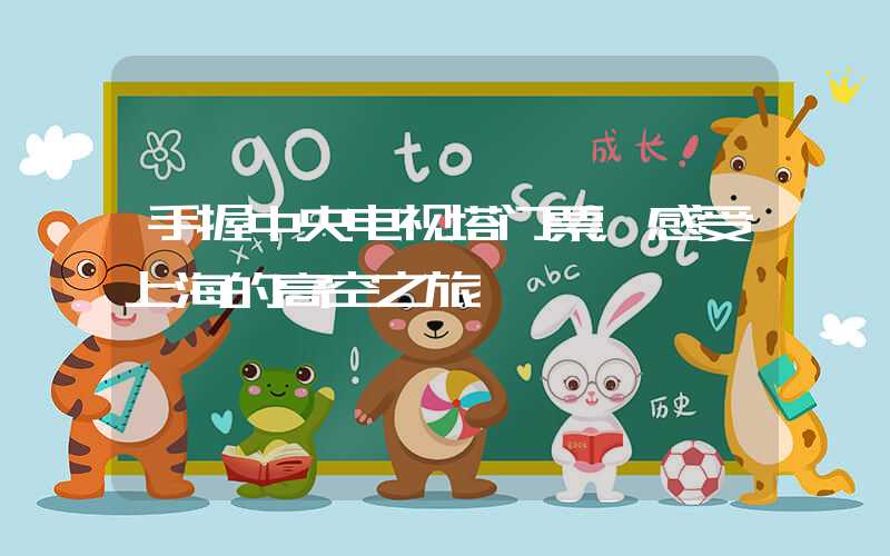 手握中央电视塔门票，感受上海的高空之旅