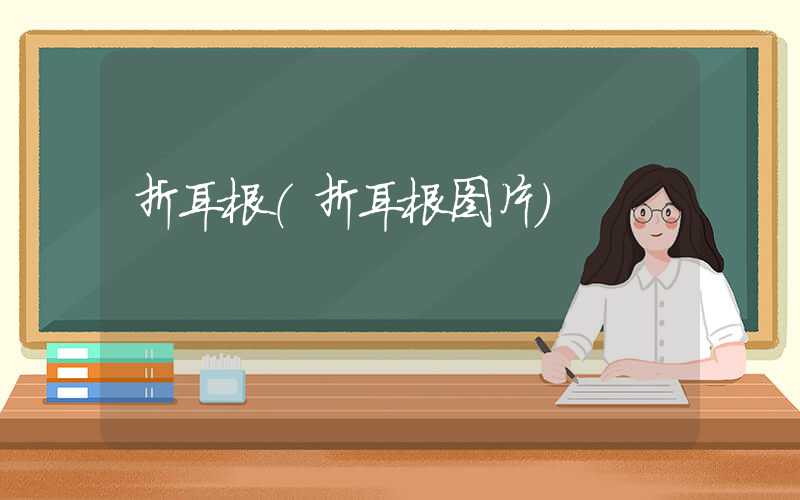 折耳根（折耳根图片）