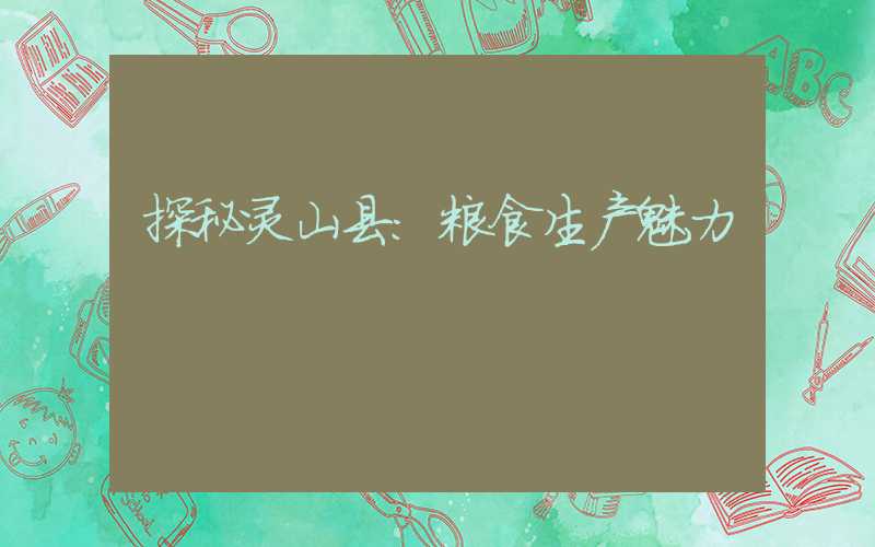 探秘灵山县:粮食生产魅力