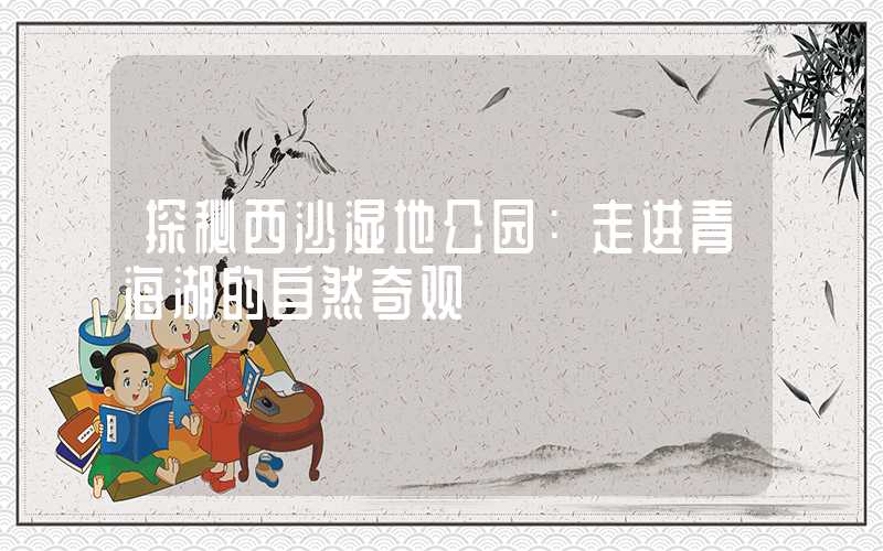 探秘西沙湿地公园：走进青海湖的自然奇观