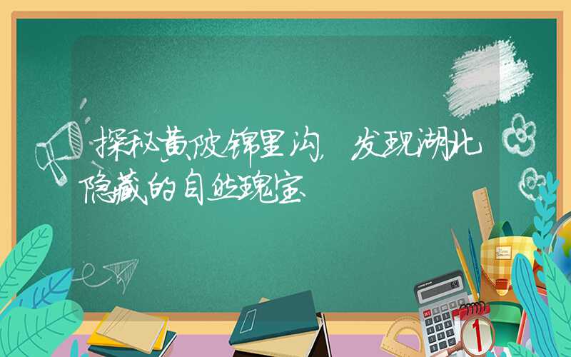 探秘黄陂锦里沟,发现湖北隐藏的自然瑰宝
