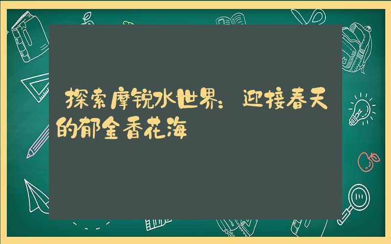 探索摩锐水世界：迎接春天的郁金香花海