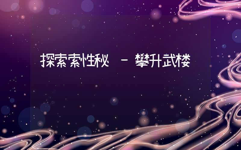 探索索性秘阁-攀升武楼