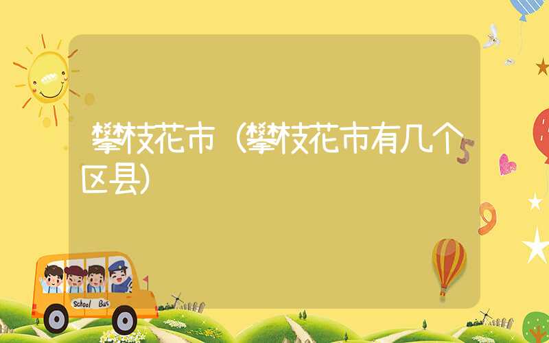 攀枝花市（攀枝花市有几个区县）