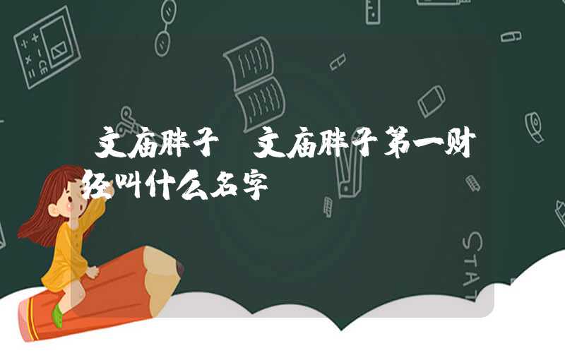文庙胖子（文庙胖子第一财经叫什么名字）