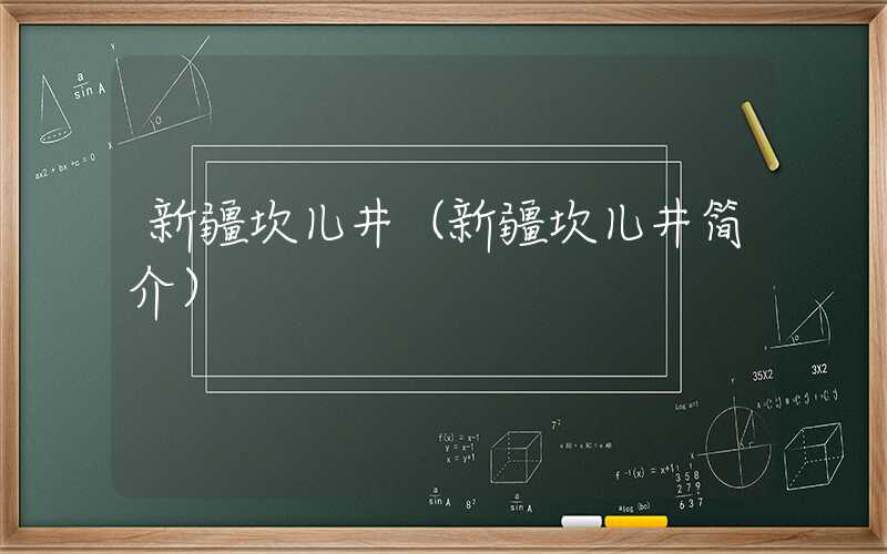 新疆坎儿井（新疆坎儿井简介）