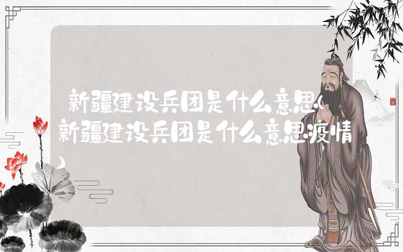 新疆建设兵团是什么意思（新疆建设兵团是什么意思疫情）